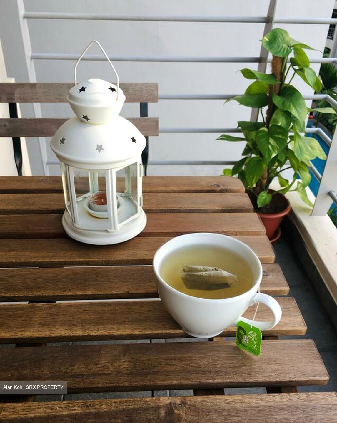 Sims Green (D14), Apartment #496014451